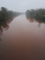 Tracage a la rhodamine sur le Rhone