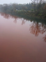 Tracage a la rhodamine sur le Rhone
