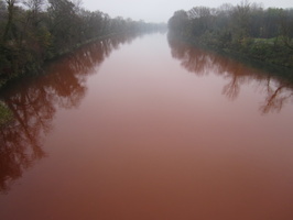 Tracage a la rhodamine sur le Rhone