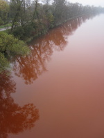 Tracage a la rhodamine sur le Rhone