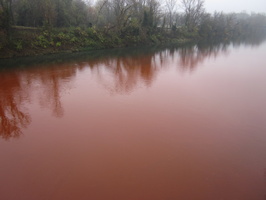 Tracage a la rhodamine sur le Rhone