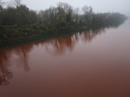 Tracage a la rhodamine sur le Rhone