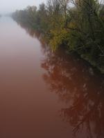 Tracage a la rhodamine sur le Rhone