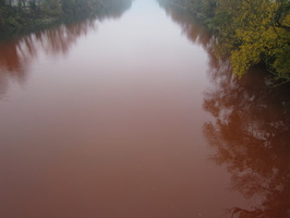 Tracage a la rhodamine sur le Rhone