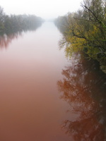 Tracage a la rhodamine sur le Rhone