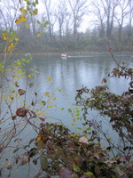 Tracage a la rhodamine sur le Rhone