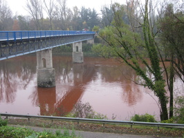 Tracage a la rhodamine sur le Rhone