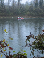 Tracage a la rhodamine sur le Rhone