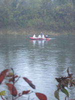 Tracage a la rhodamine sur le Rhone