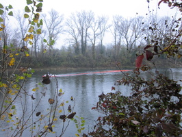 Tracage a la rhodamine sur le Rhone