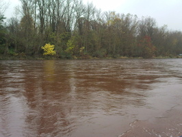 Tracage a la rhodamine sur le Rhone
