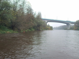 Tracage a la rhodamine sur le Rhone