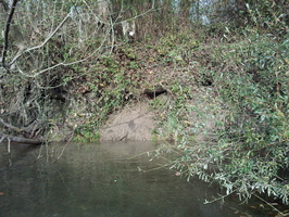 Tracage a la rhodamine sur le Rhone