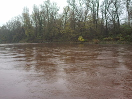 Tracage a la rhodamine sur le Rhone