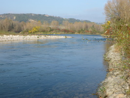 Tracage a la rhodamine sur le Rhone