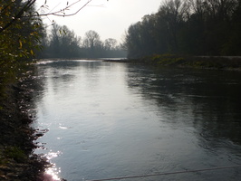 Tracage a la rhodamine sur le Rhone
