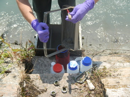 Prise de matiere en suspension d'eau du Rhone avec les centrifugeuses fixe et mobile a Jons 