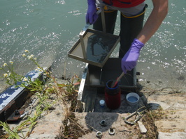 Prise de matiere en suspension d'eau du Rhone avec les centrifugeuses fixe et mobile a Jons 