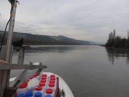 Crue du Rhone et de l'Isere et chasse des barrages sur l'Isere (Crn - Irstea)