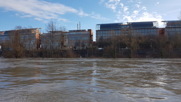 Crue du Rhone janvier 2018