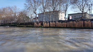 Crue du Rhone janvier 2018