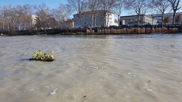 Crue du Rhone janvier 2018