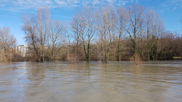 Crue du Rhone janvier 2018