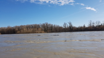 Crue du Rhone janvier 2018