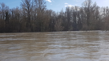 Crue du Rhone janvier 2018