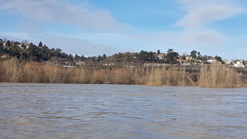 Crue du Rhone janvier 2018