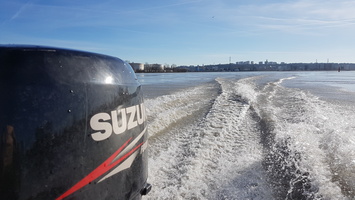 Crue du Rhone janvier 2018