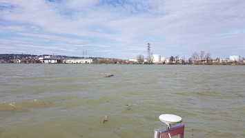 Mesure CTD Adcp sur le Rhone, la Saone et apres leur confluence