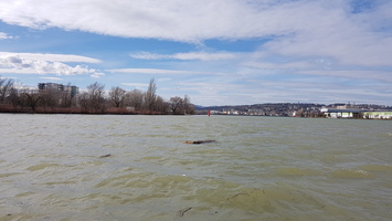 Mesure CTD Adcp sur le Rhone, la Saone et apres leur confluence