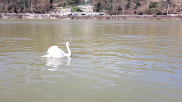Mesure CTD Adcp sur le Rhone, la Saone et apres leur confluence