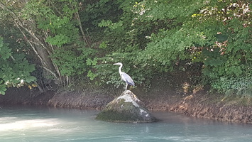 Confluence de l'Arve avec le Rhone a Geneve en Suisse