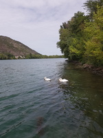 RIVERLY Lagouy Mickael 0080907