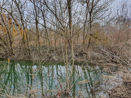 RIVERLY Lagouy Mickael 0085100