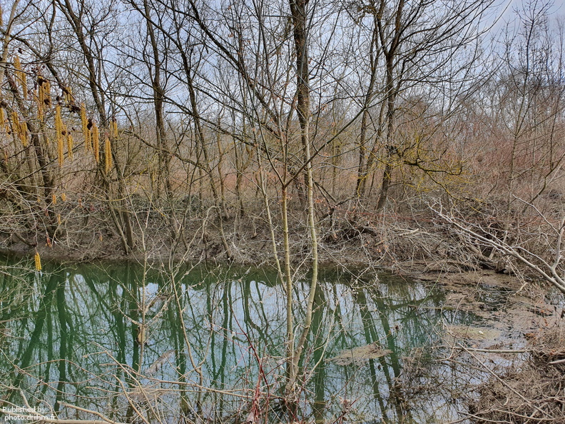 RIVERLY_Lagouy Mickael_0085100.jpg