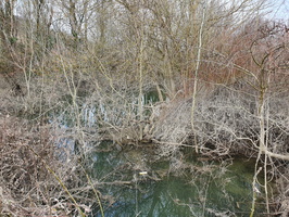RIVERLY Lagouy Mickael 0085102