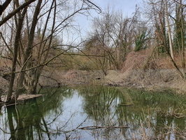 RIVERLY Lagouy Mickael 0085104