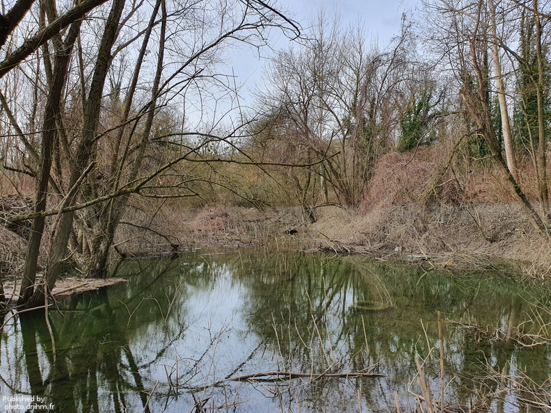 RIVERLY_Lagouy Mickael_0085104.jpg
