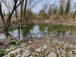 RIVERLY Lagouy Mickael 0085105