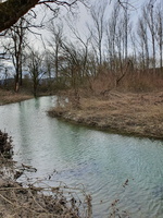 RIVERLY Lagouy Mickael 0085108