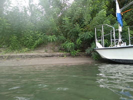 RIVERLY Lagouy Mickael 0085364