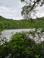 RIVERLY Lagouy Mickael 0085631