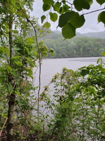 RIVERLY Lagouy Mickael 0085633