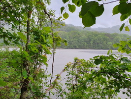 RIVERLY Lagouy Mickael 0085634