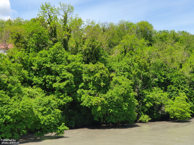 RIVERLY_Lagouy Mickael_0085642.jpg